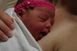 LilyNewborn